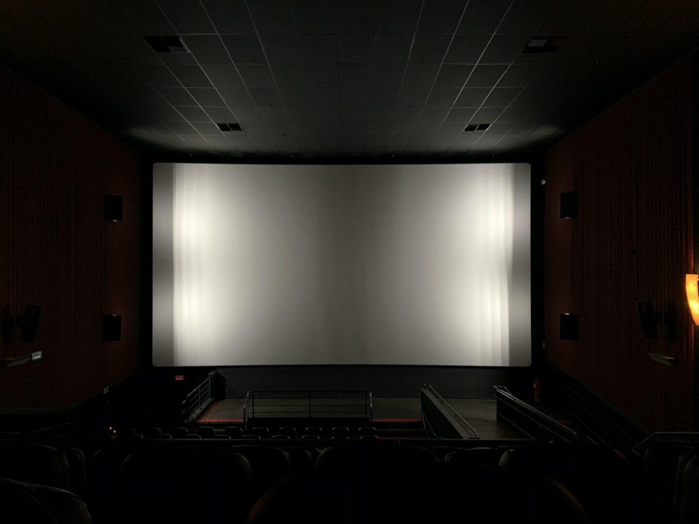 What's The Best Material For A Projector Screen? (Guide)